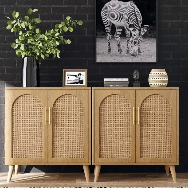 Rattan Modern Storage Cabinet with Doors