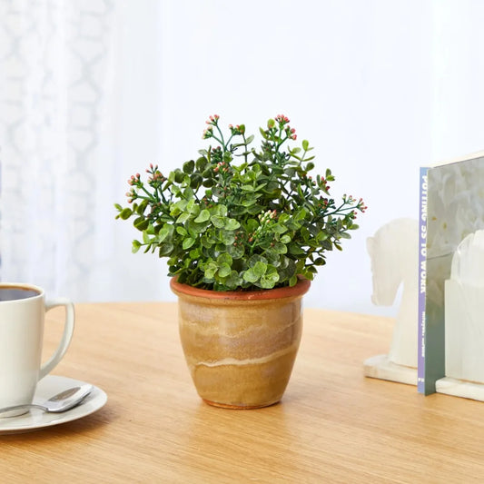 Eucalyptus and Sedum Succulent Artificial Plant in Ceramic Planter