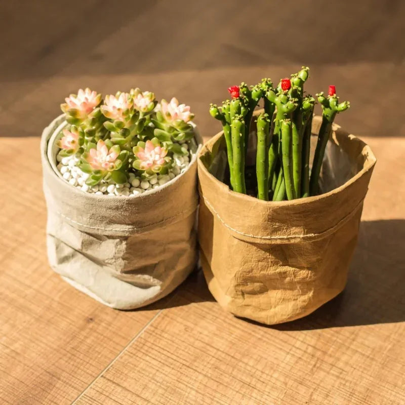 Washable/Reusable Kraft Paper Planter