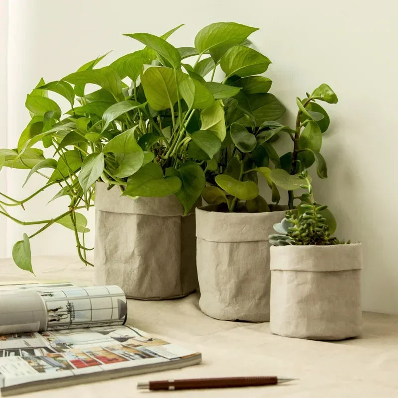 Washable/Reusable Kraft Paper Planter