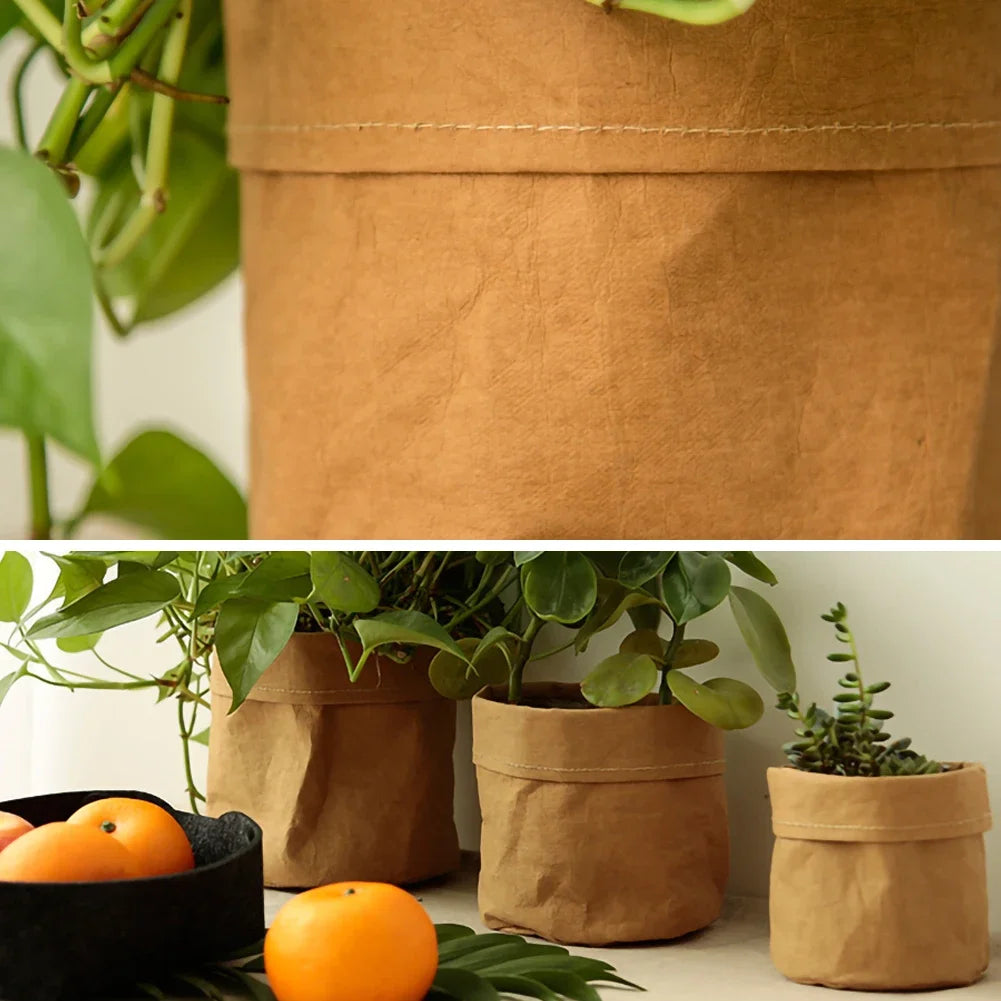 Washable/Reusable Kraft Paper Planter