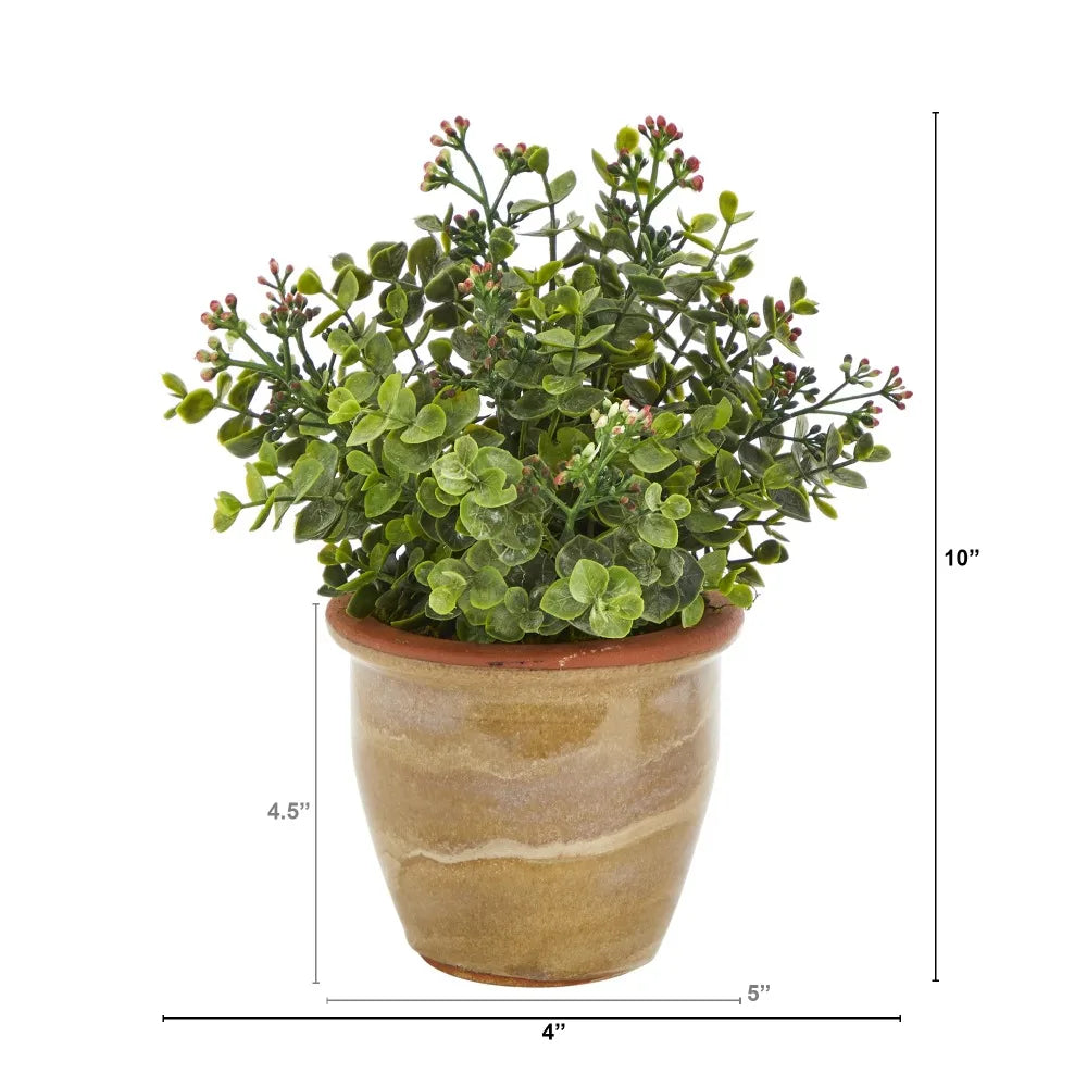 Eucalyptus and Sedum Succulent Artificial Plant in Ceramic Planter