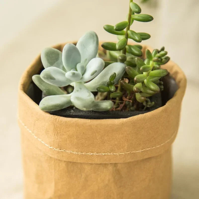 Washable/Reusable Kraft Paper Planter