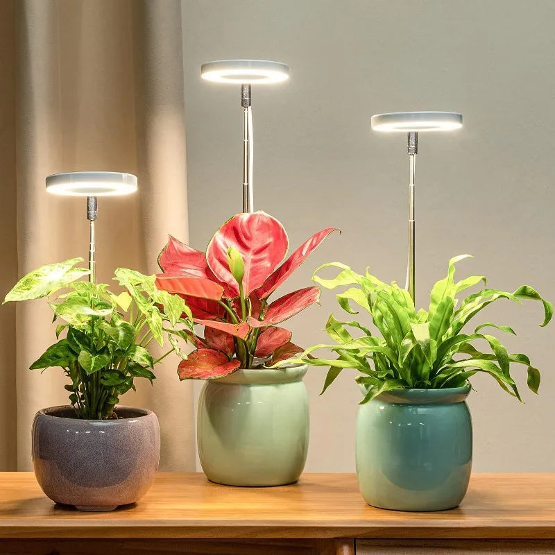 Full Spectrum LED Grow Light for Indoor Plants